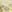 - VANITY LEMON MERINGUE/MULTI
